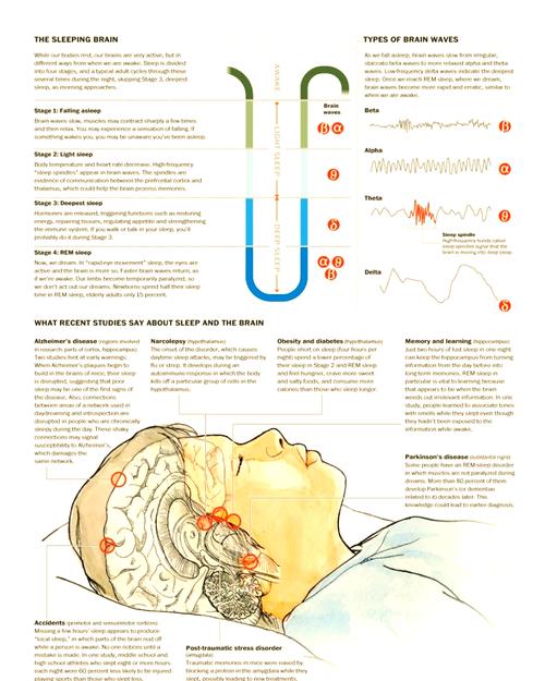 运动与睡眠：探索两者的深度关联