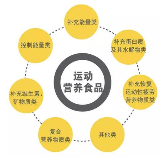 运动与营养吸收：相互促进的健康之钥