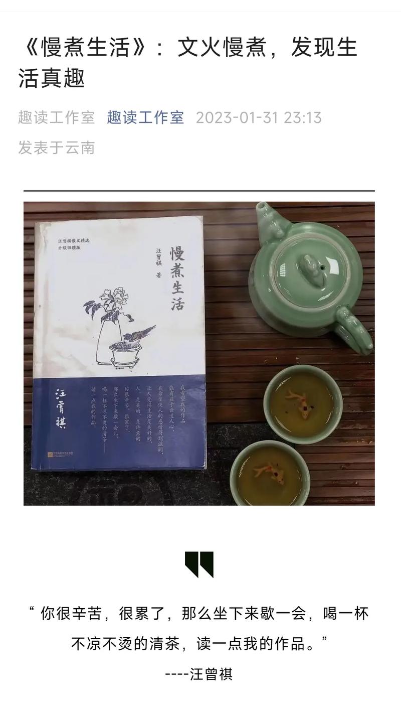 文火慢炖：品味生活中的细腻与美好