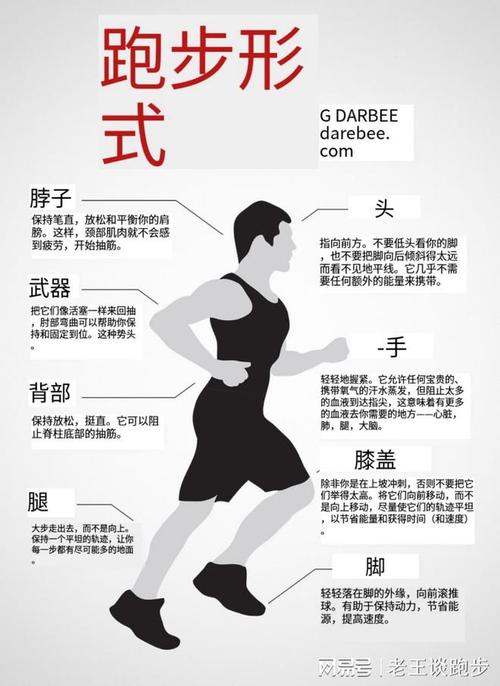 运动与身体柔韧性的密切关联