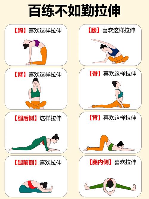生活瑜伽：身心和谐的全面指南