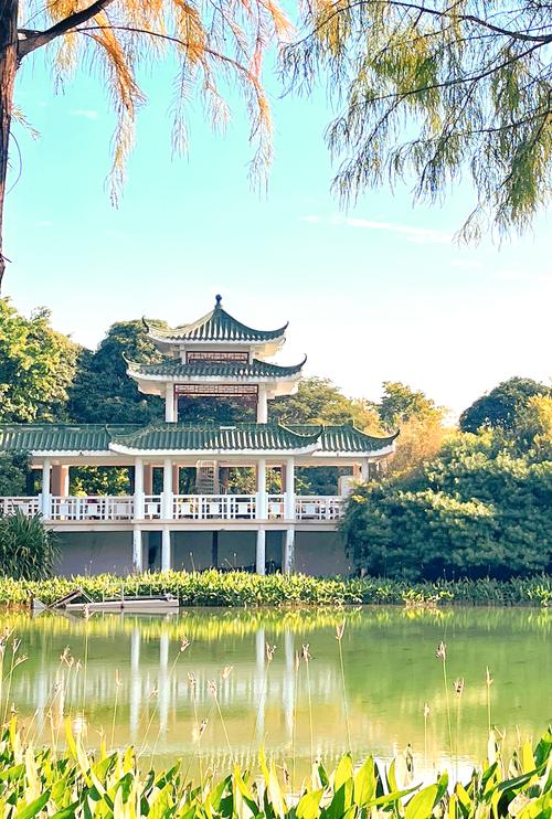 深圳中心公园：城市中心的绿洲