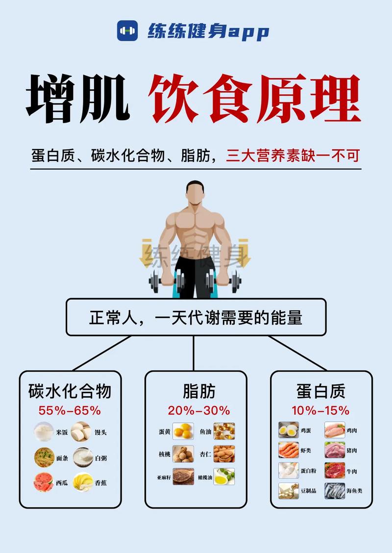 详细阅读:科学搭配增肌餐,助力高效肌肉增长 科学搭配增肌餐,助力高效肌肉增长