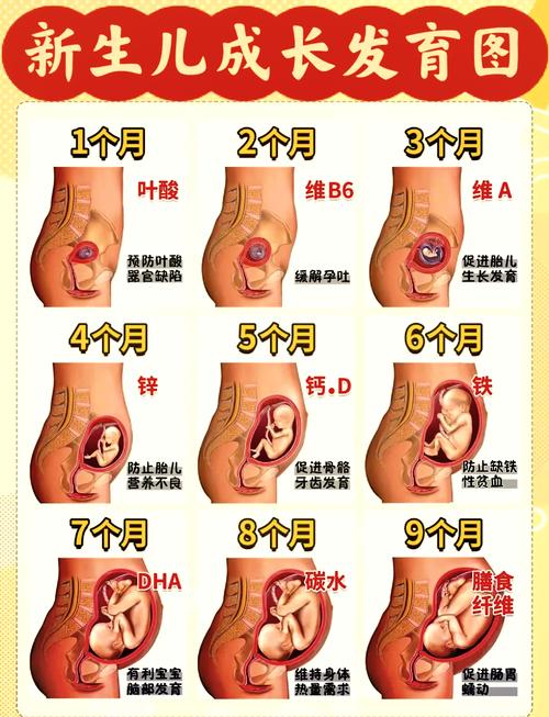孕妇饮食指南：为宝宝的健康成长保驾护航