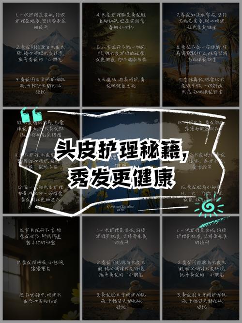 头发护理全攻略：从基础到进阶，打造健康秀发