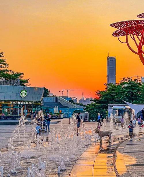 欢乐海岸：城市中的欢乐绿洲
