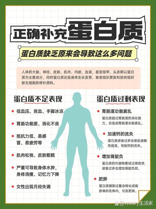 蛋白质：生命的基石——探寻优质蛋白质食物的奥秘与魅力
