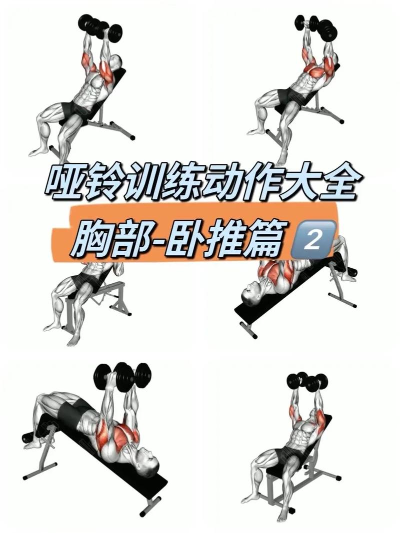深入解析卧推：力量训练的基石动作