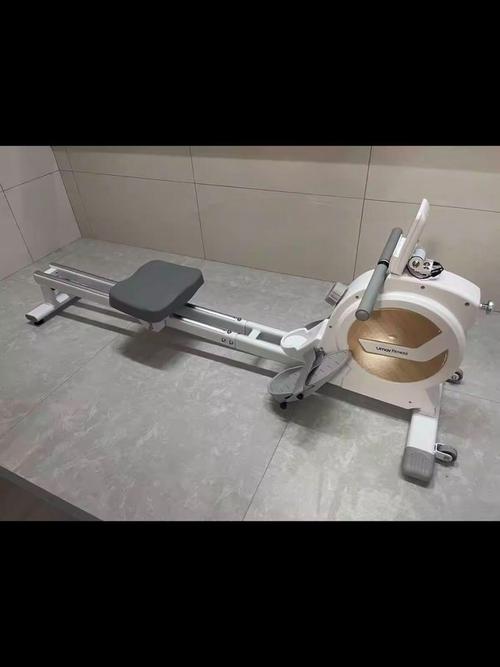 划船机：家庭健身的理想之选