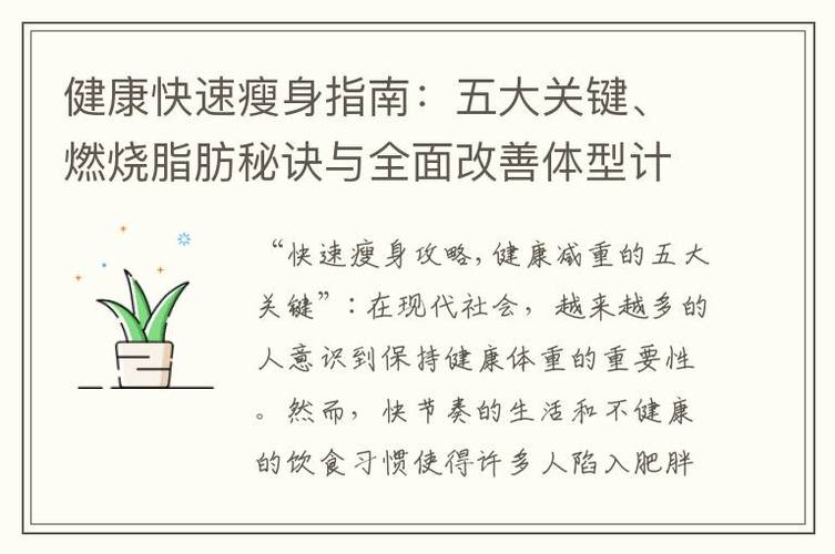 减脂训练：科学塑造健康体态的全面指南
