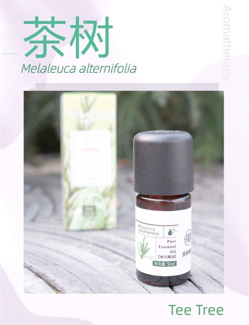 茶树精油：头发护理的神奇瑰宝