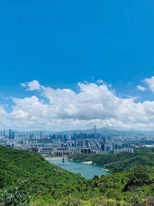 梅林山公园：都市绿肺，自然与人文交织的瑰宝之地