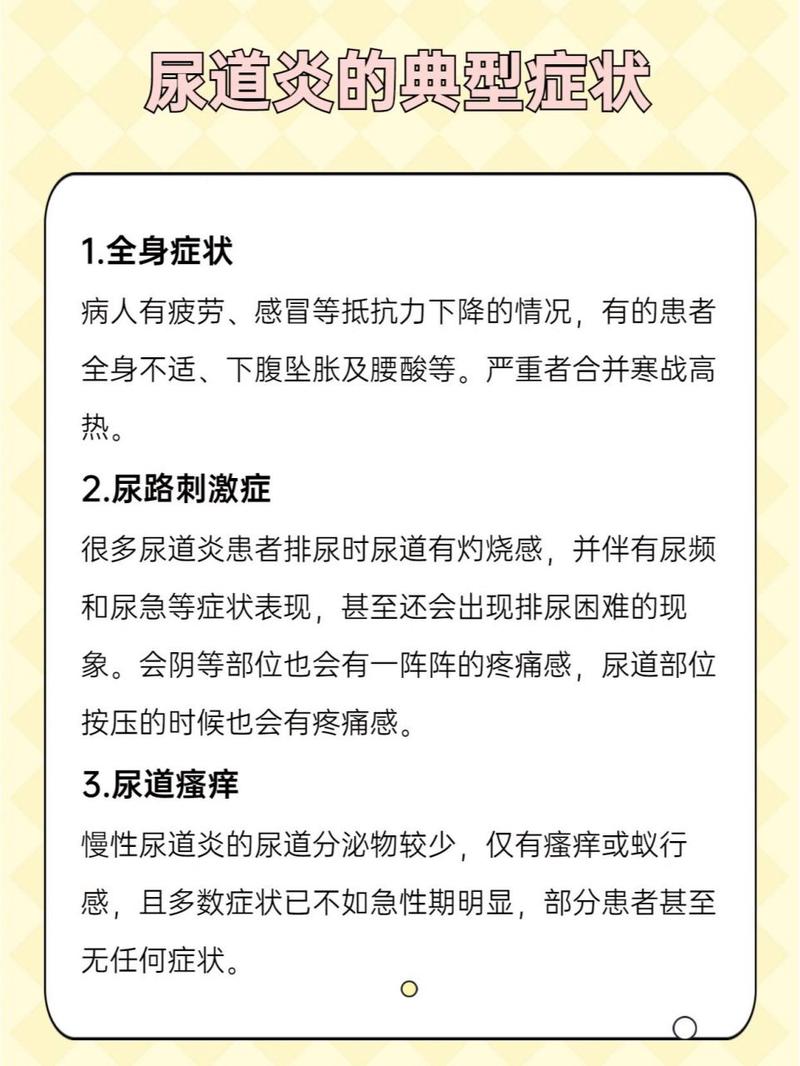 尿道炎：症状、治疗与预防全解析
