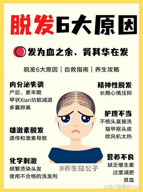 遗传性脱发与护发素：深入解析头发护理的关键环节