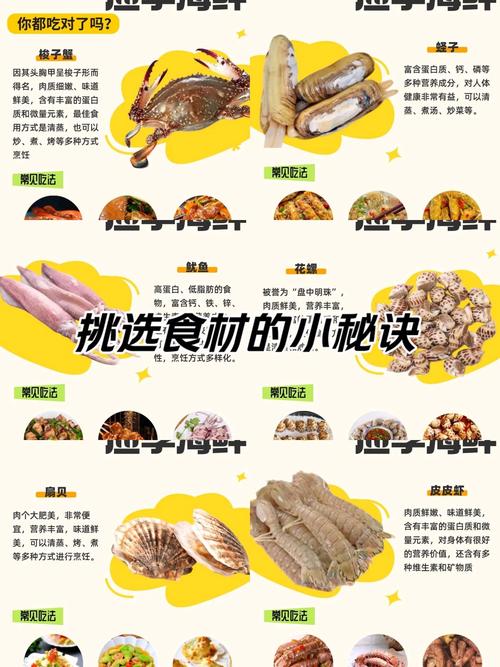食材挑选效率的提升之道