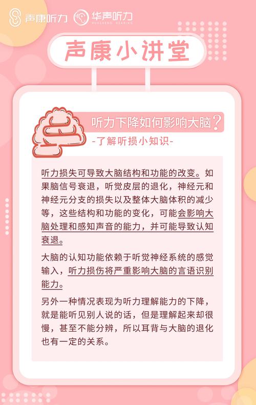 听力：开启感知世界的奇妙之门