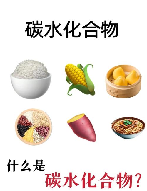 碳水化合物：人体能量的重要来源与健康的关键因素