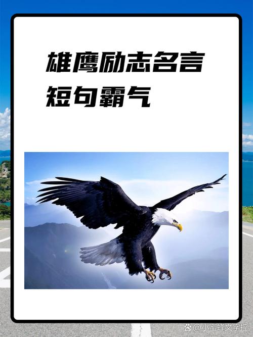 以自信为翼，展翅翱翔：树立榜样的力量与光芒