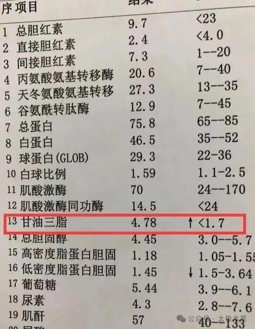 甘油三酯：人体内的“能量仓库”与健康“双刃剑”