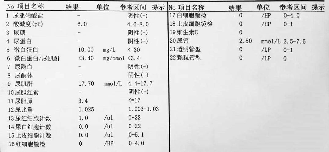 尿常规：健康的“信号灯”，疾病的“侦察兵”