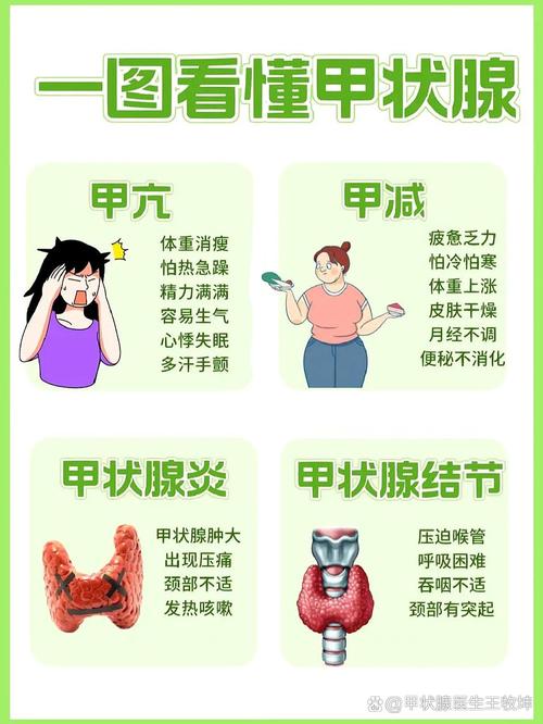 甲状腺疾病：从认识到应对的全面解析
