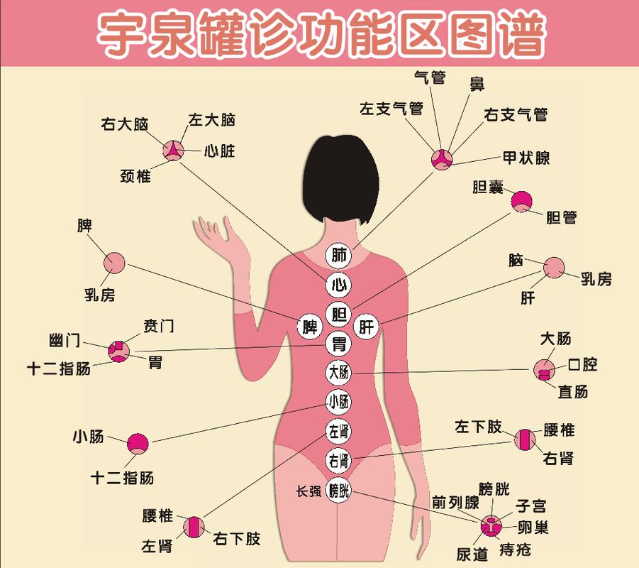 探秘拔罐：古老疗法的现代魅力与科学解析