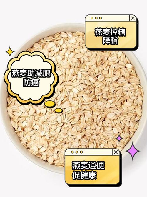 详细阅读:燕麦:营养宝库与多元应用的谷物传奇 燕麦:营养宝库与多元应用的谷物传奇
