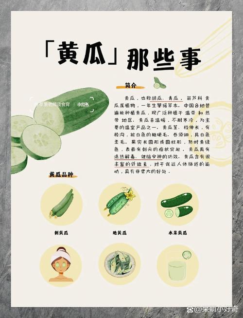 探秘黄瓜：从田间到餐桌的奇妙之旅
