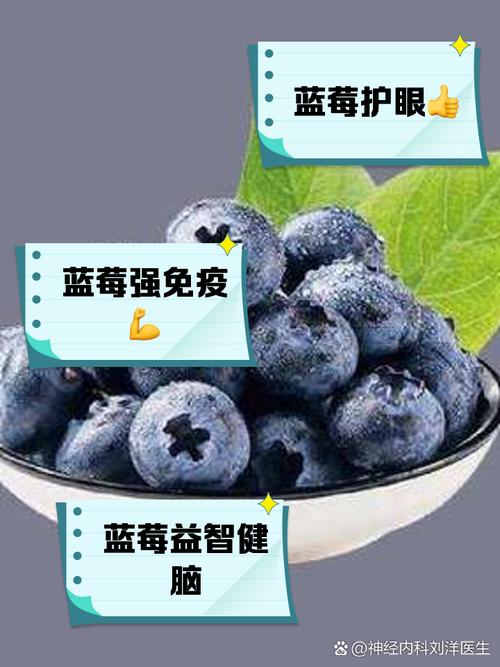 蓝莓：大自然馈赠的璀璨宝石与健康宝藏