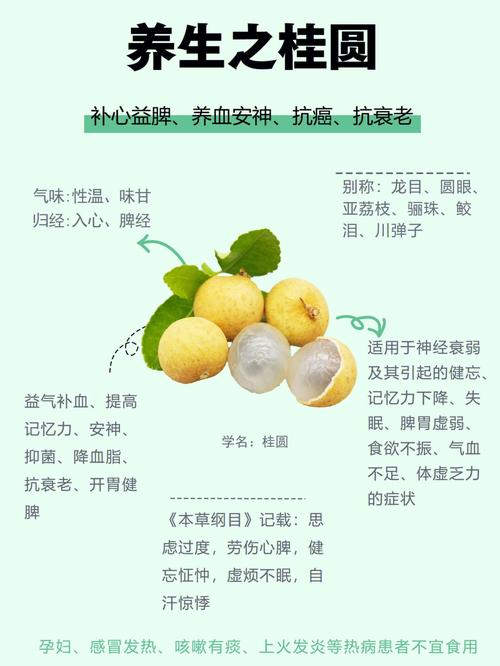 桂圆的奇妙养生之旅