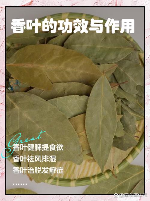 香叶：岁月里的芬芳印记