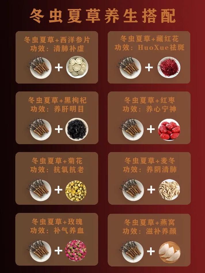 以下是关于虫草的养生作用的介绍：