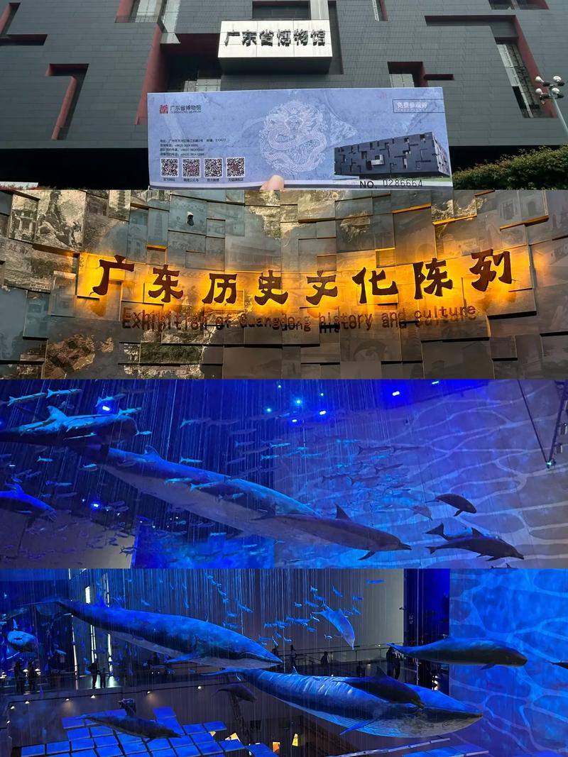探秘岭南文化瑰宝：广东省博物馆深度游