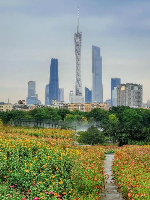 海珠湖公园：广州“绿心”的璀璨明珠