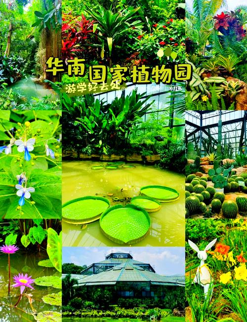 华南植物园：绿野寻踪，探秘自然瑰宝