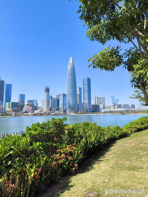 深圳湾公园：滨海绿意中的都市明珠
