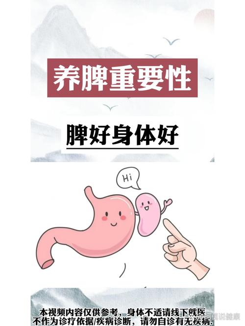 强脾养生：守护健康之本，开启活力人生