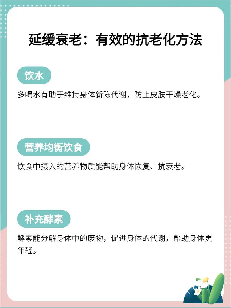 抗氧化养生：守护健康，延缓衰老的秘诀
