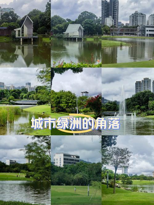 香蜜公园：都市中的绿洲与文化融合