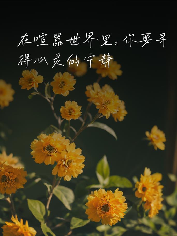 治愈寂寞：在喧嚣与静谧间寻得内心安宁