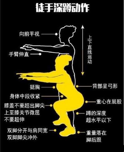 解锁深蹲正确姿势，开启健身新篇章