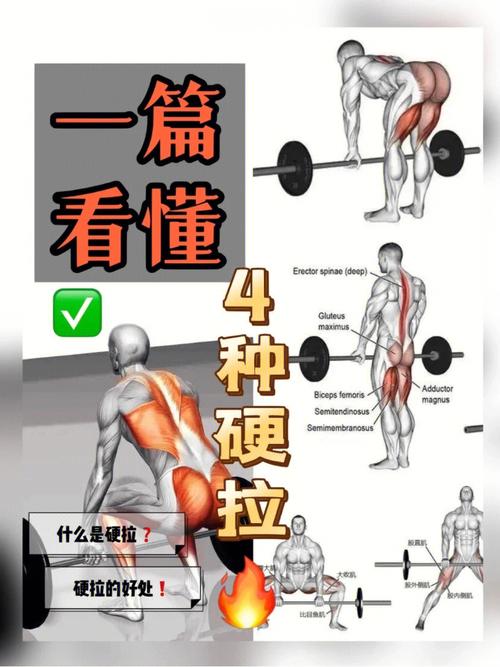 硬拉的技巧与练习全攻略