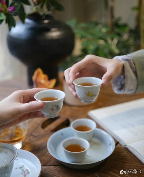 白茶：茶中雅韵，岁月凝香