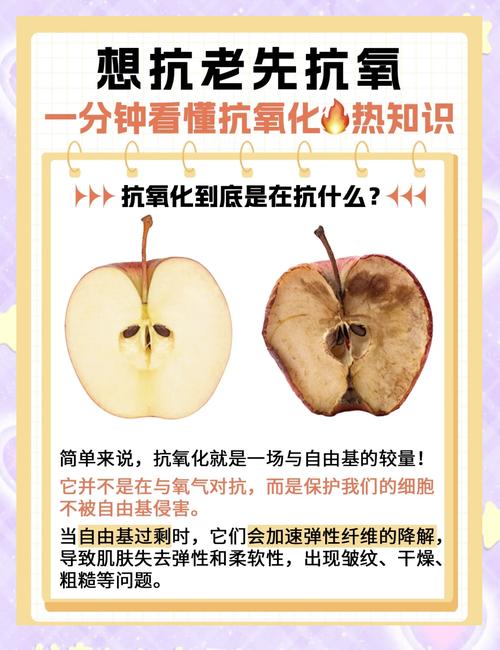 详细阅读:肌肤抗氧化能力:守护青春与健康的关键密码 肌肤抗氧化能力:守护青春与健康的关键密码
