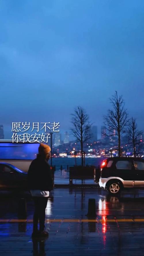 岁月长歌：那些触动心灵的情感共鸣