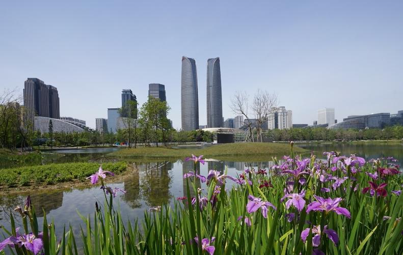 大运公园：城市绿肺，活力之源
