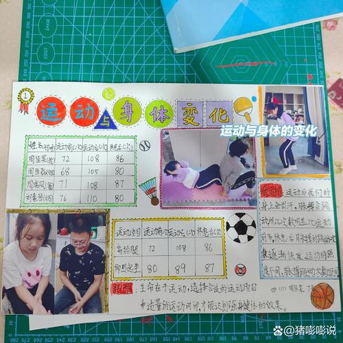 运动与身体运动科学研究的关系