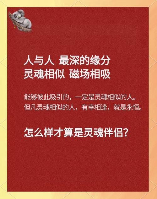 伴侣信任：情感基石，幸福密钥