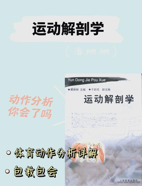 运动与身体运动美学欣赏的深度剖析