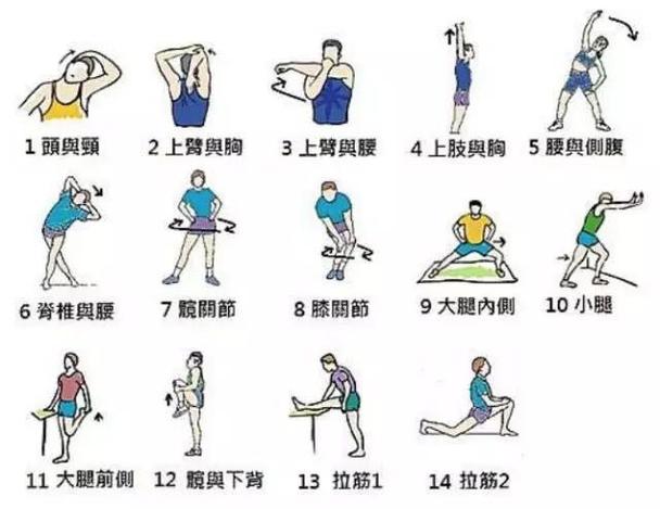 马拉松训练：从新手到高手的进阶之路